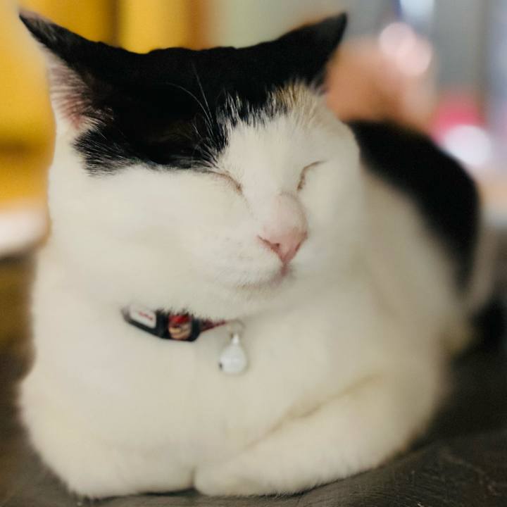 A75c797b e3f4 423a 905f b8a72cca2995 1654698285679