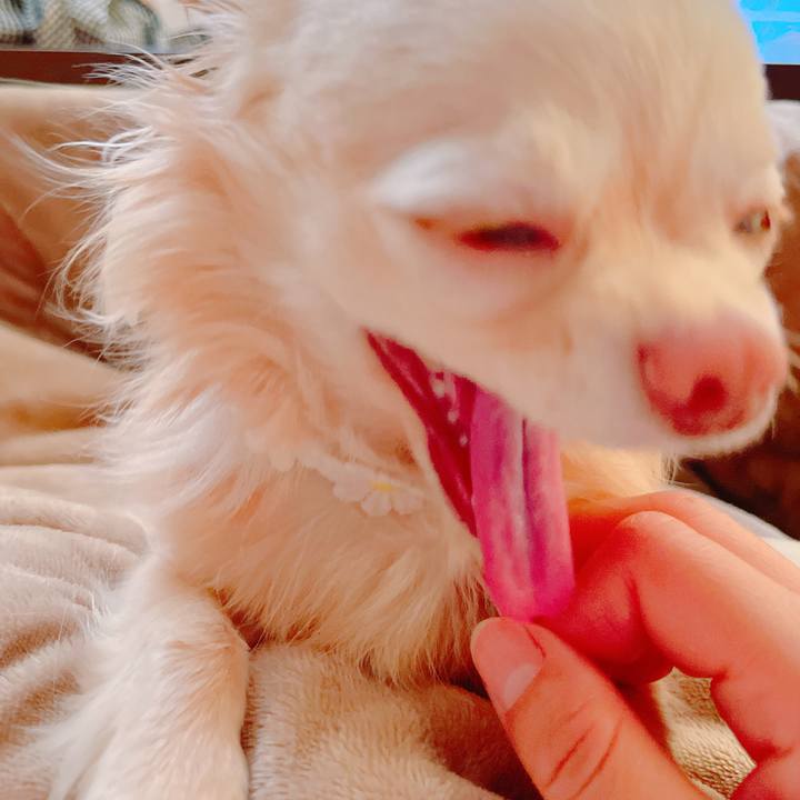 A75cb083 4b58 4a48 9b63 6d2bbd6fb424 1648690789513