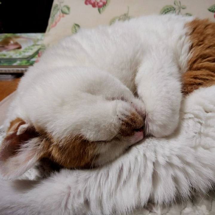 A75ccf42 adfd 494a bf62 e58d5f55603e 1567698139733