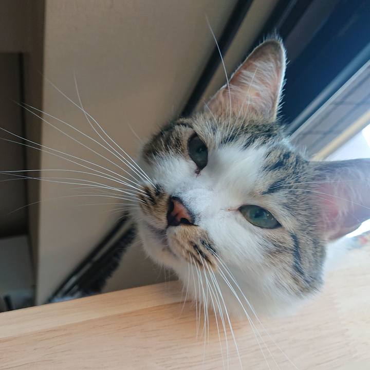 A75cd7bd dc01 4dff 8c0a 6c702793c1df 1666656059773