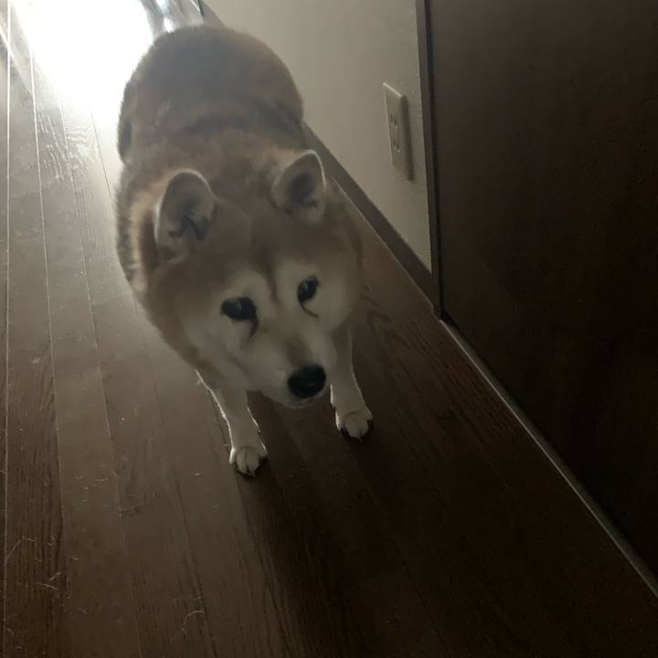 A75d2162 4986 4cc2 adcc 1ff3041f4087 1634190695833