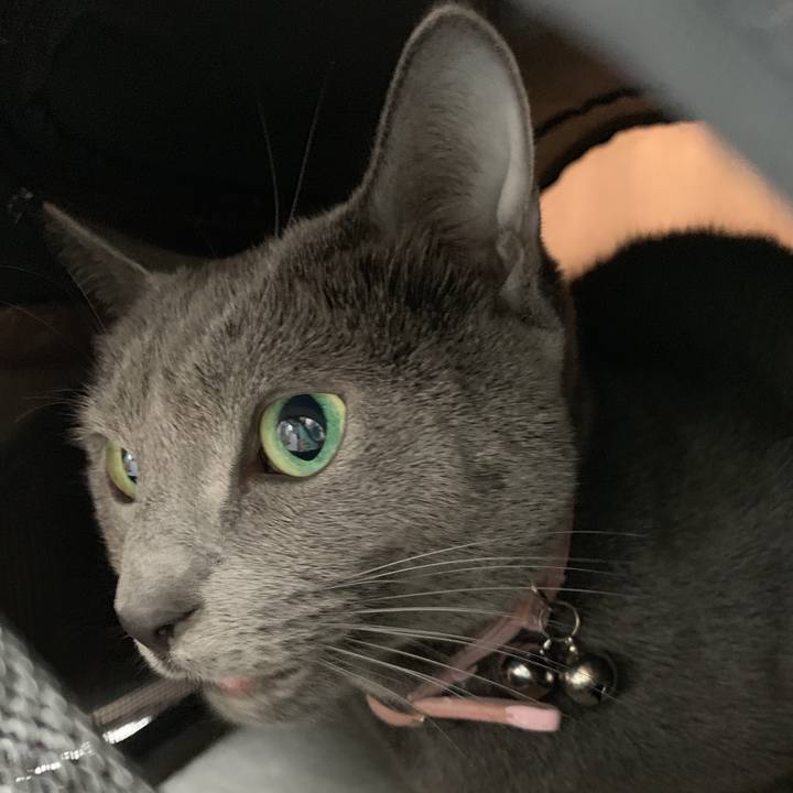 A75d2cd7 38f1 4647 b15c ba6a41f4b08d 1574038294045