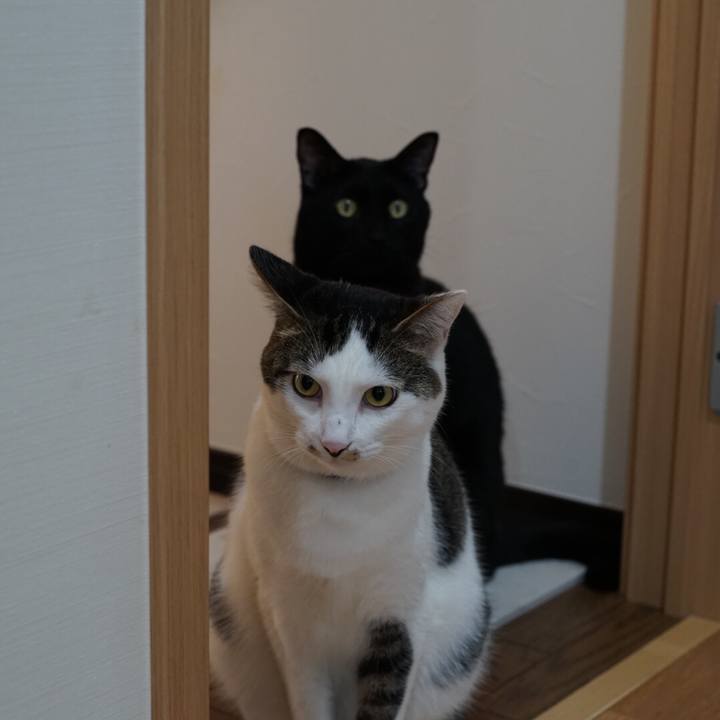 A75d328b 28c3 45df 9f57 9391a91e568d 1534570780631