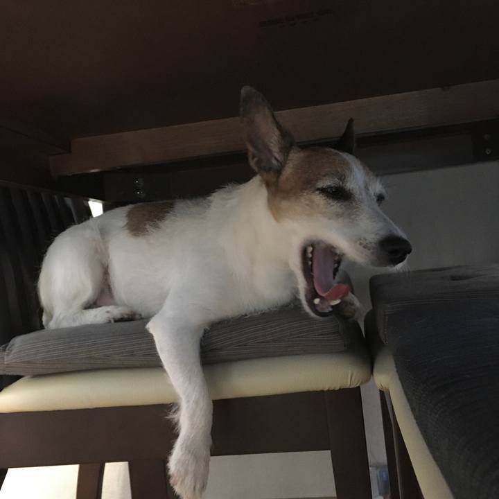 A75d5250 c490 43ec 9d0a aa46d1213865 1658532345970