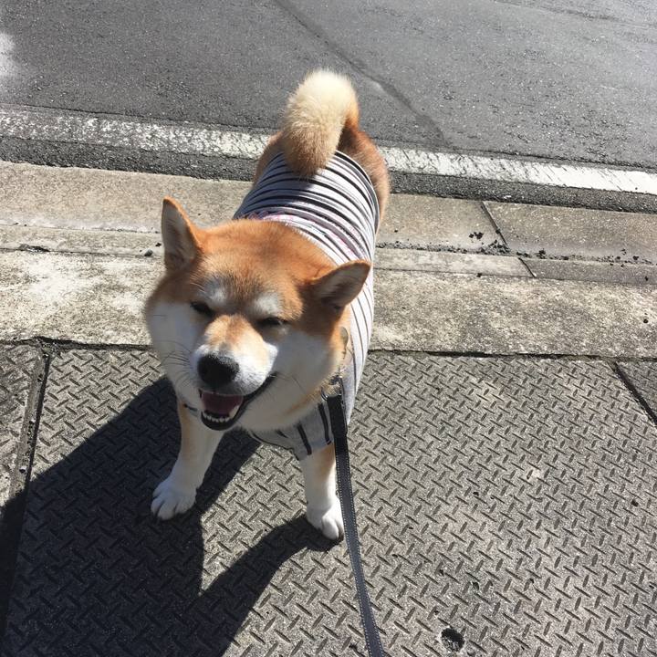 A75d685b 7190 4b80 885c d337c967af70 1542251350720