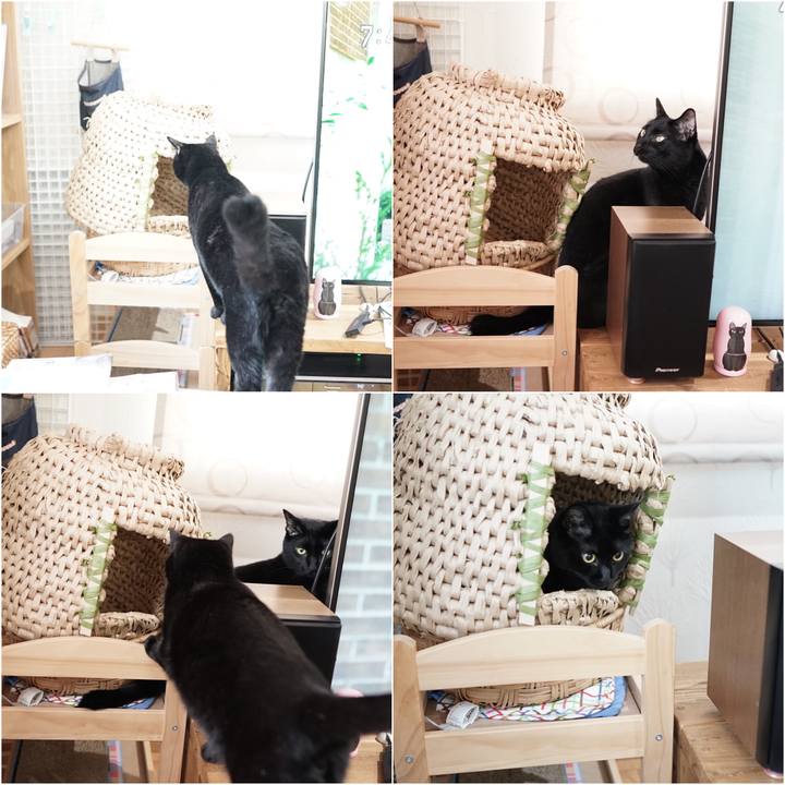 A75d753c 08d9 4802 88a1 b7cb089d262f 1563234541963