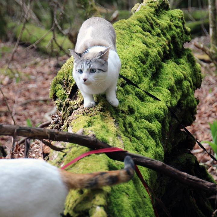 A75d78f4 a251 44bb a244 79ed88ff6c31 1620259978465