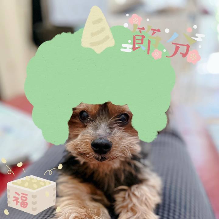 A75d8cdb 236a 4c6a 929d ef1b79ef4c1e 1643844182812