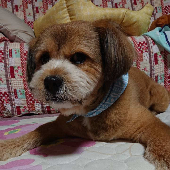 A75d903d e86c 4713 a0ef e4748ac077c2 1559475127929