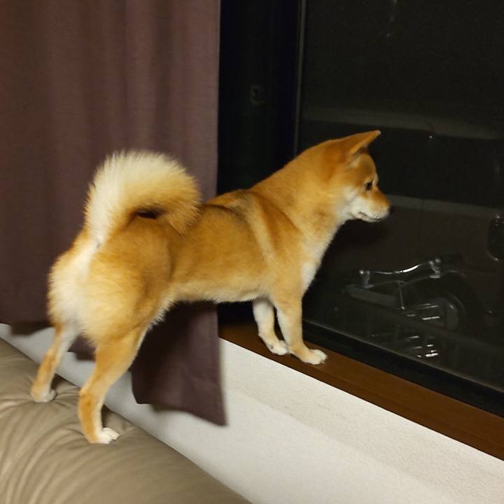 A75d9aef cefe 4c89 abd8 cf9277331f2f 1660260390591