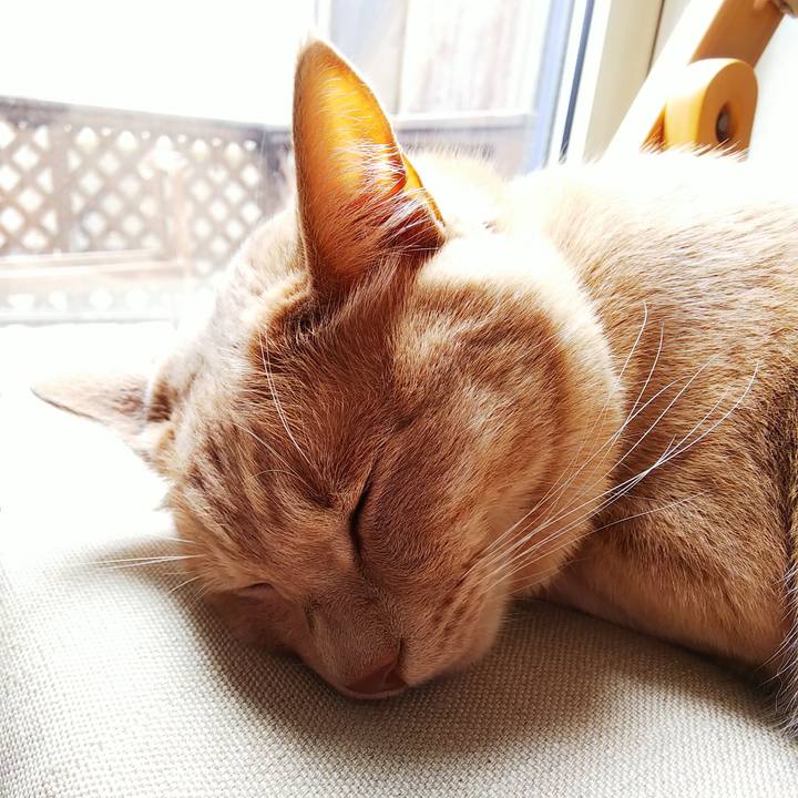 A75dc77a 6e89 45cb 9a32 90f02e94968d 1619243020477