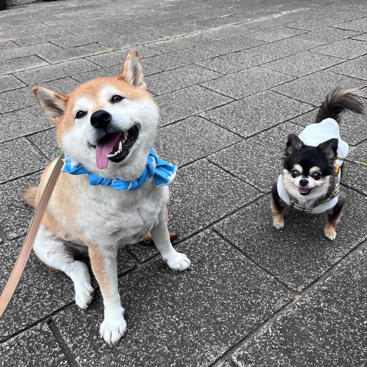 A75dd73c 92fc 40b3 a3a5 05322a8fc8ae 1719482367618