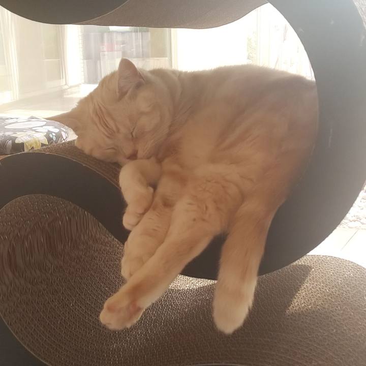 A75dda1f 9239 4e87 af4c 21bfcb676ded 1560818571718