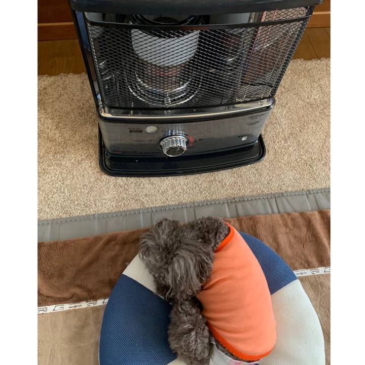 A75df09a a65b 40f2 abaf 755b6149add4 1579050409209