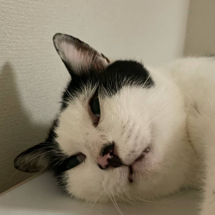 A75e2add 0b75 4d46 939f 5d602792bc8c 1662390305082