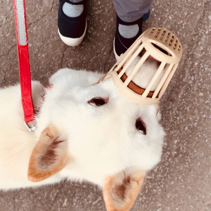 A75e3dea f236 4cc8 9914 9106f4c52b34 1562878700546