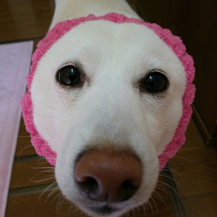 A75e45e1 c576 4b38 8ee8 3b386732e89a 1556500017870