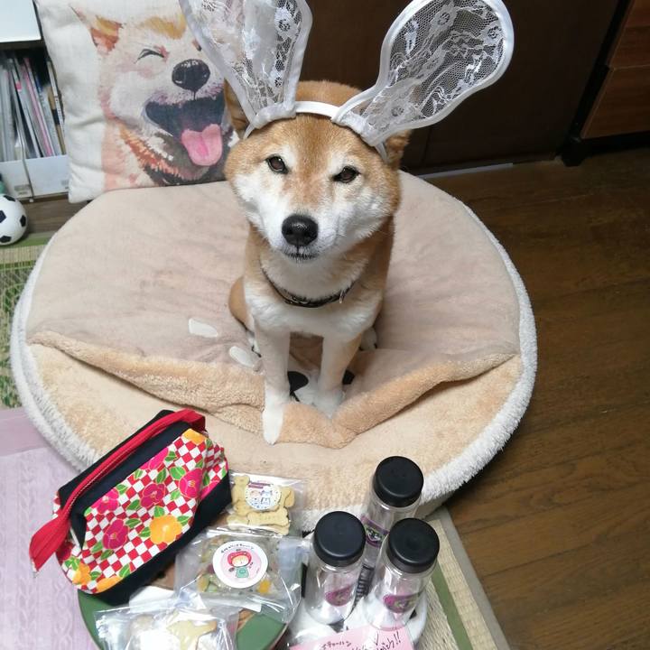 A75e97f8 4821 4ce4 94e4 c572d658f04c 1679795968686