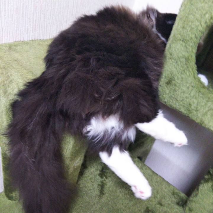 A75ec7b7 c03d 4b75 adb3 d4ad1491f79f 1653357206776