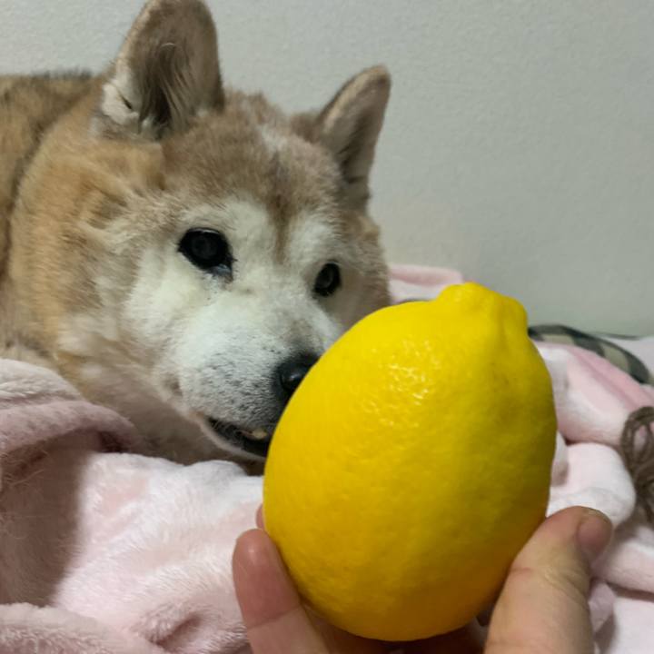 A75ec80c 0ca1 4afc 8255 e40527c25239 1673099805598