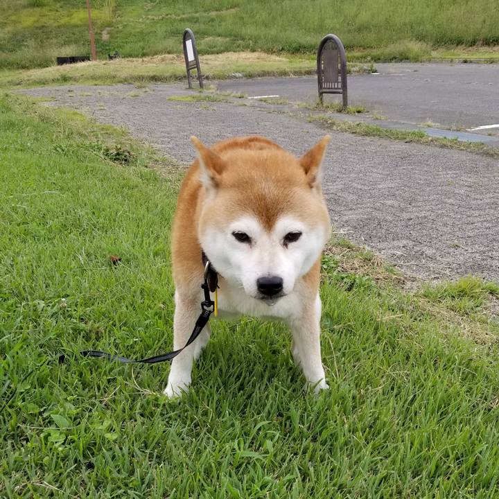 A75ecdf8 7129 42d1 ae15 aa1ff9448836 1600332482463