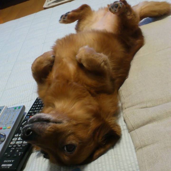 A75edc41 2e3e 4d8d 89e3 dde64353eefd 1550683771136