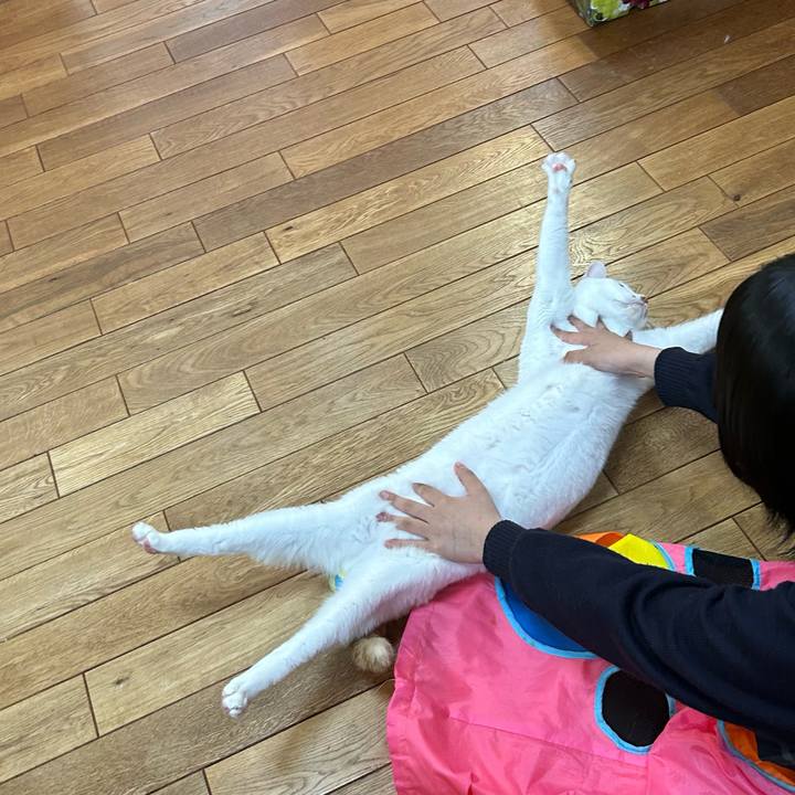 A75edc5b 15be 486e a2e7 26d1a50a0d66 1684879198117