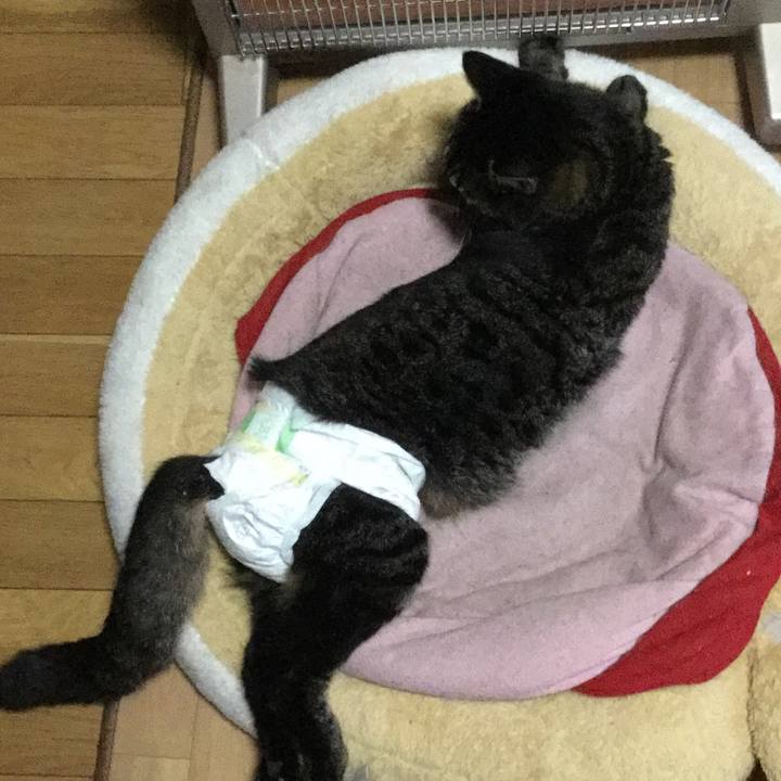 A75edff7 248c 42ba ab7a 661b3aa9dbc5 1583832519716