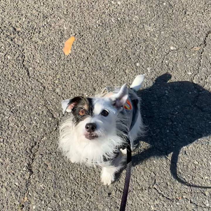 A75ee965 26a1 43a3 98d2 2f0e2cfc56a0 1666829921459