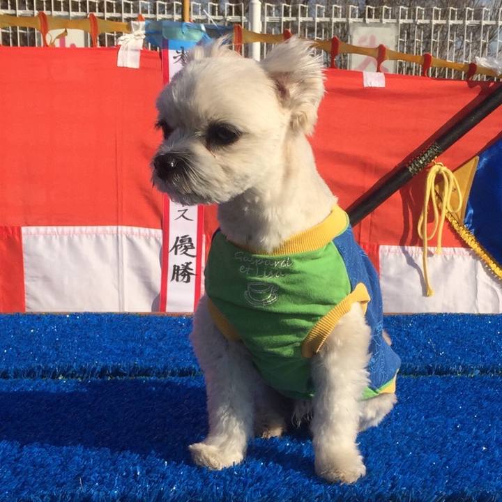 A75ef24f 86ac 4496 9f63 7ce62e1caee1 1514025291611