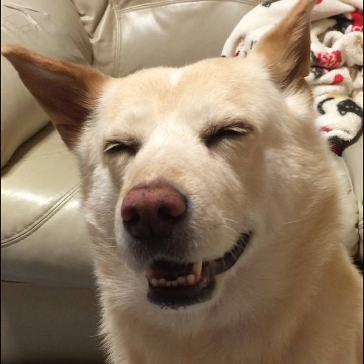 A75ef3e3 28f6 4845 801e 8865a949c6f9 1525701085255