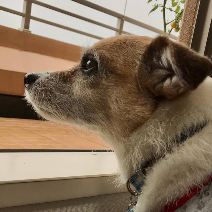 A75f27c0 a761 4bc8 b363 b055a45fcfd5 1594941007867