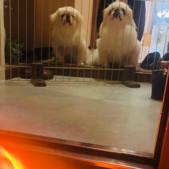 A75f302c 7fc2 4ede 8467 254fbbe81e74 1565958395935