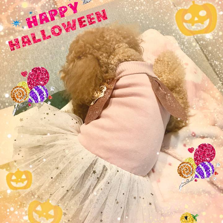 A75f3c64 f909 417f ac93 a2c500e55d54 1540952620382