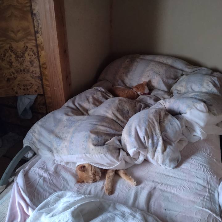 A75f4504 f7b8 463a a6e6 8e7f02c75ce8 1760257235321