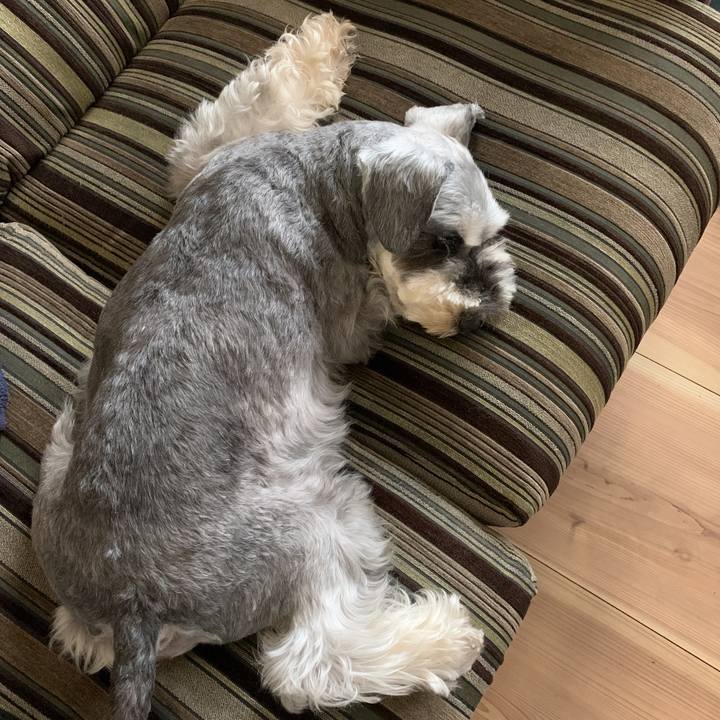 A75f84cf d0de 4d58 bbfd 62fbc81ae293 1597797456897