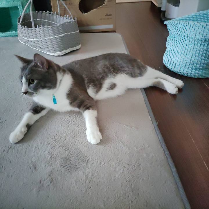 A75fa691 f3de 4f75 9ece b17becf2629a 1658872443667