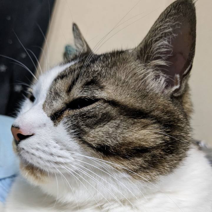 A75fd698 72be 455d 8eec 15922844e646 1707484381128