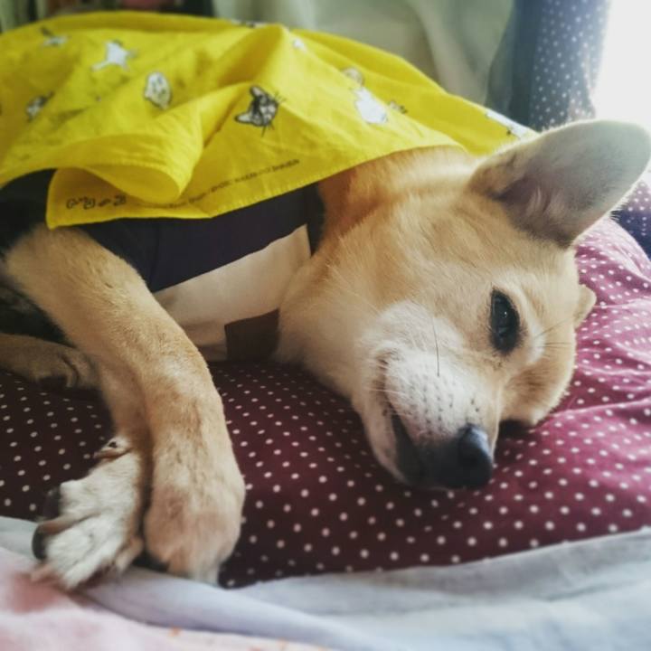 A75ff9d9 6b52 438e 8617 69f564d1d7c4 1565006502384