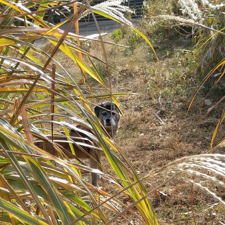 A76009d2 e260 4b46 86a0 4683092d0b0c 1511309736595