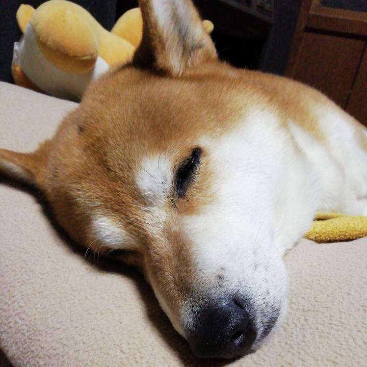 A7601dfc 955e 433c 9f30 f6e7efc8eac6 1642598718500