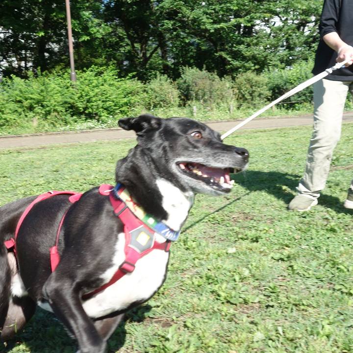 A76028fd 7132 499c bf72 4549d1a7880b 1684887807164