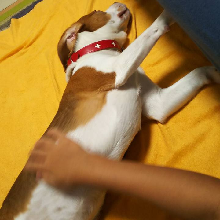 A7603783 73e9 4334 b940 5c1bb739d567 1599743444636