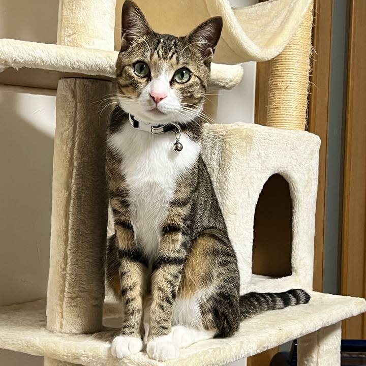 A76057db b7c2 412f a7f8 8fe47c89f6bc 1727797316006