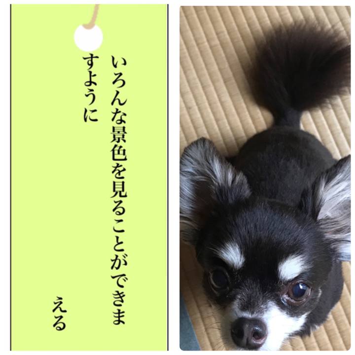 A7605a8c 1d67 4bbf 956e 65c2dc8fe0c6 1594097521117