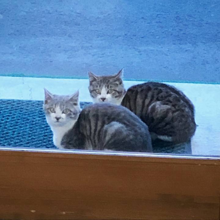 A76077e5 5507 4199 a027 02195daffcc6 1522404282849