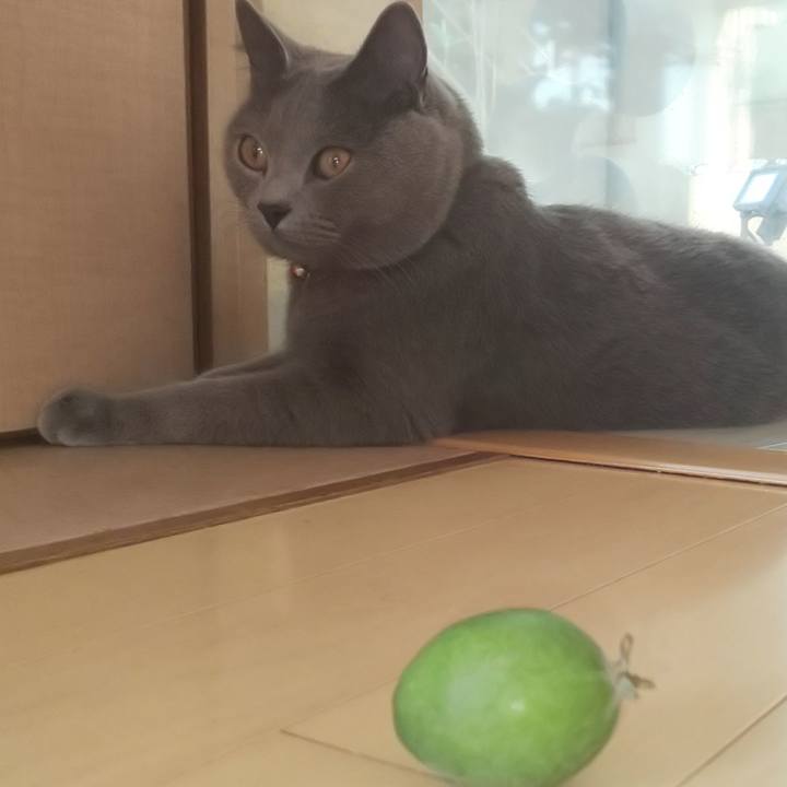 A7607abc f28a 4fe8 bd17 f447c27d10ad 1540882984983