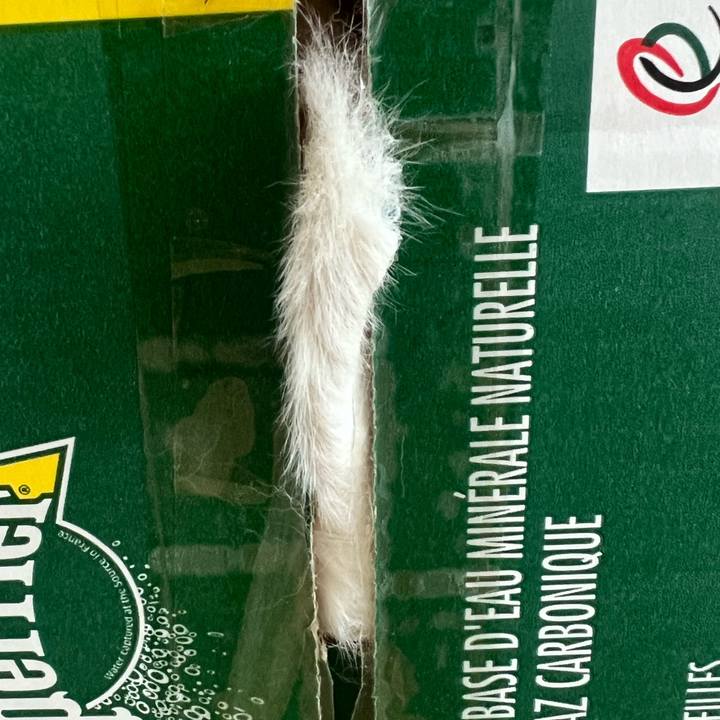 A760d48f fa4d 4b82 aacf 6f276675938a 1638064980346