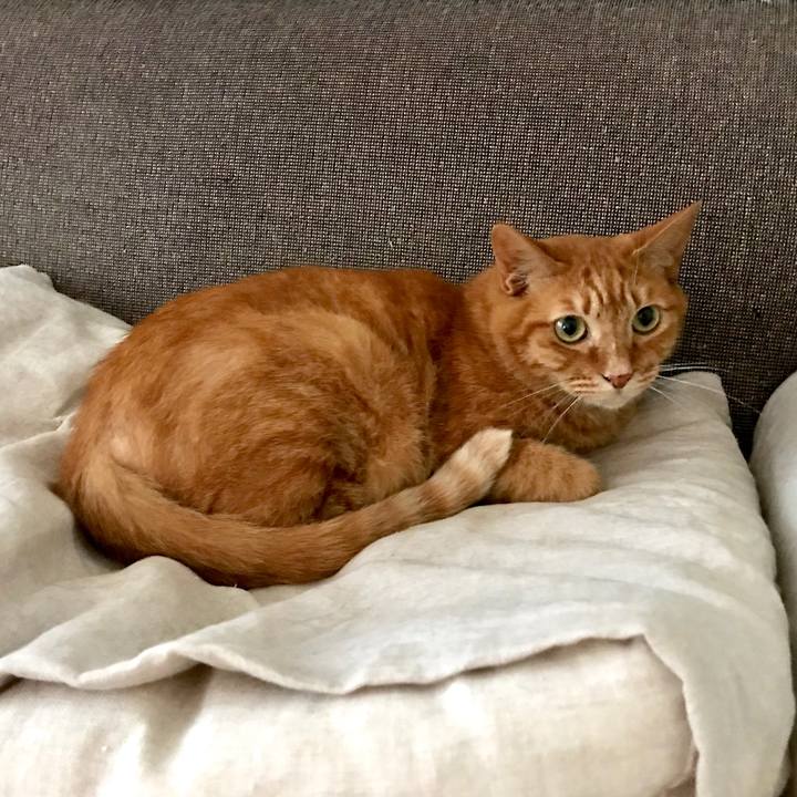 A7611967 c3cc 43fa b48c 6e27c57cf07d 1561943755764