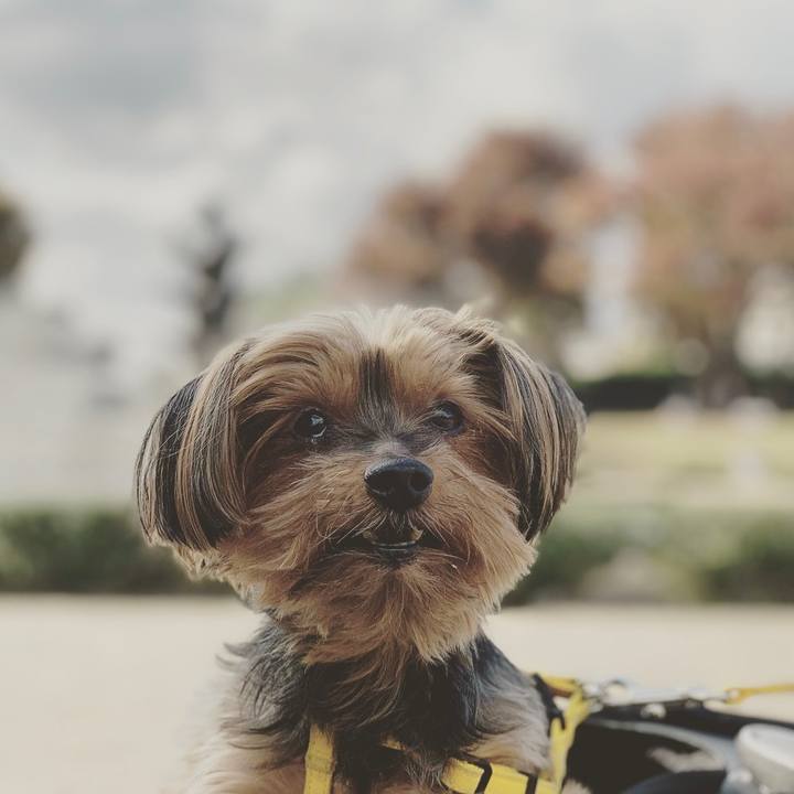 A7611dd2 35cb 437f b30e 9d161d034125 1637472146578